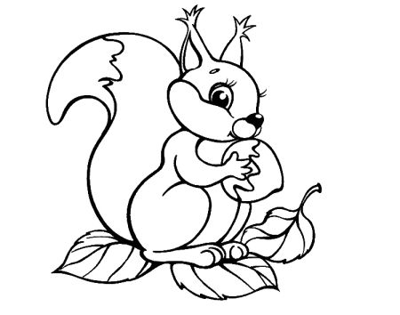 Белочка раскраска для детей