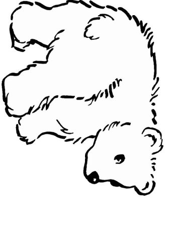 Мишка трафарет