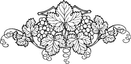 Виноградная лоза
