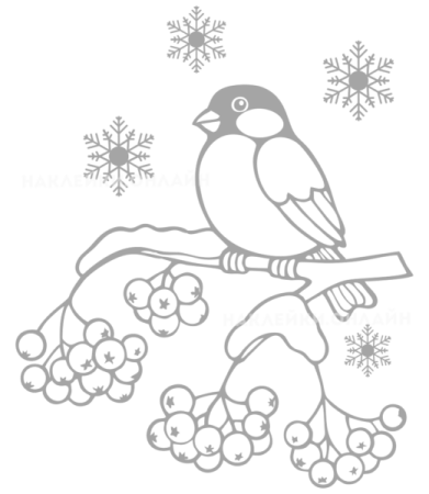 Снегирь на ветке раскраска