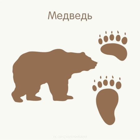 Звериные следы