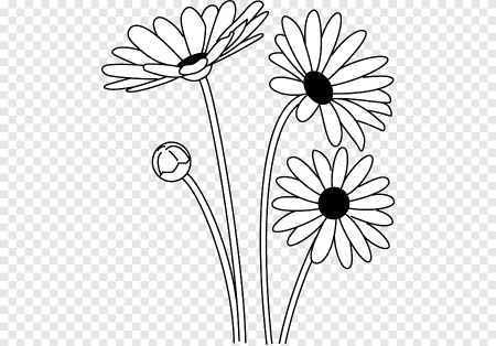 Дейзи Дрю Daisy Drew