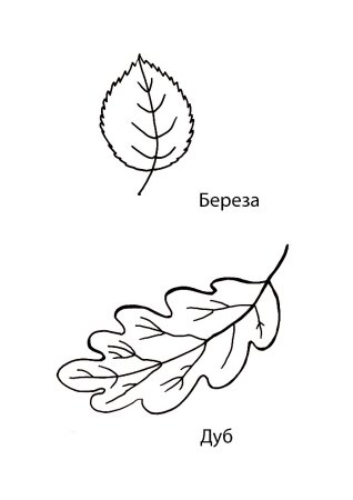 Зеленые листочки вырезать