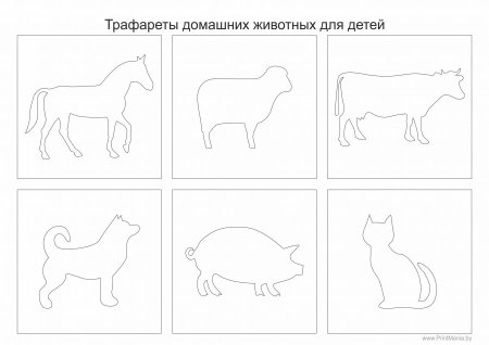 Контуры животных