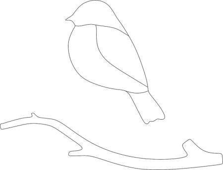 Птицы. Раскраска