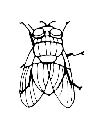 Queen Bee
