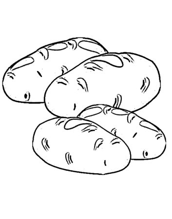 Картофель раскраска