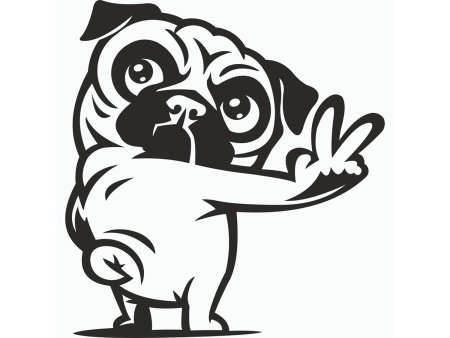 Изображения для плоттера