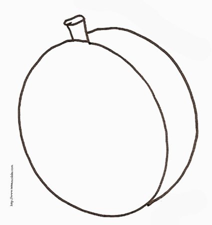 Слива черно белая