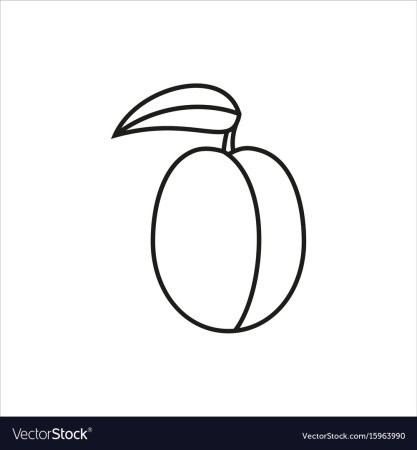 Абрикос раскраска