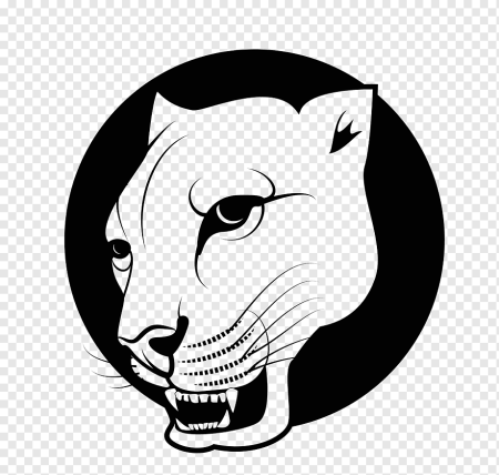 Puma вектор