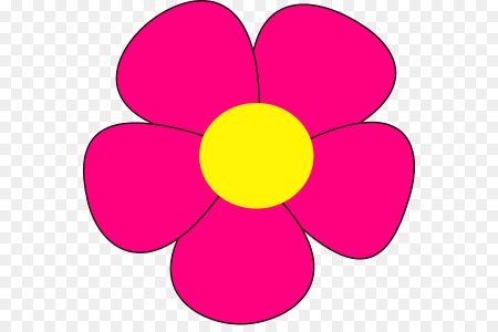 Шаблоны цветов цветные