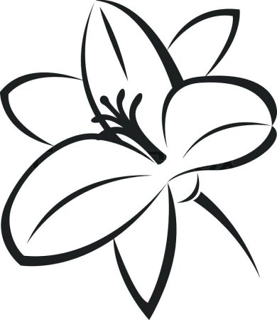 Амариллис цветок раскраска