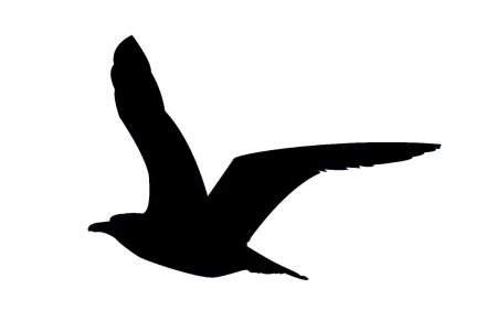 Трафарет Чайки