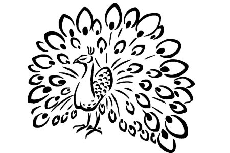 Павлин для раскрашивания