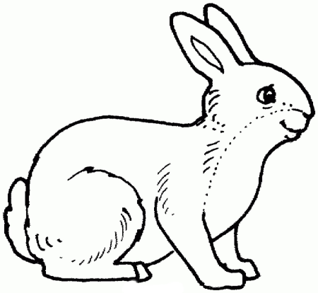 Трафарет диких животных для детей
