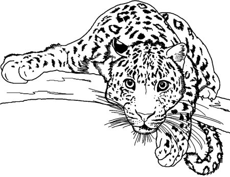 Leopard трафарет для детей