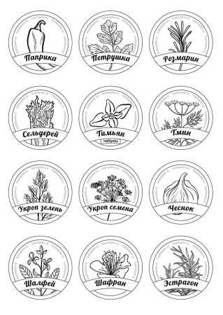 Монохромные этикетки для специй