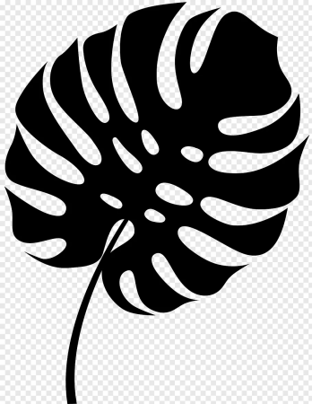 Monstera вектор