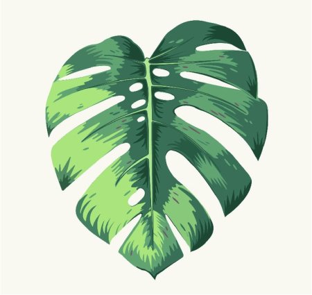 Листья Monstera вектор
