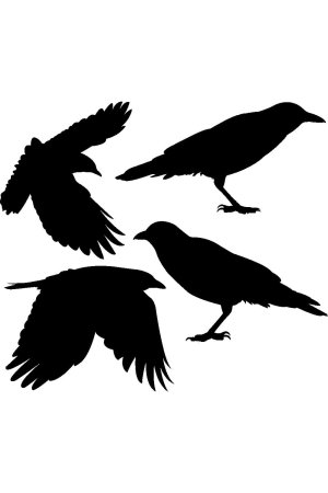 Nevermore ворон тату