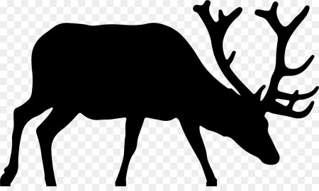 Deer Antlers silhouette