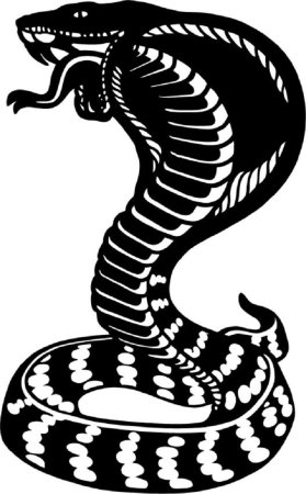 Змея черно белая