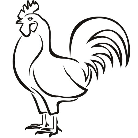 Шаблон курочки
