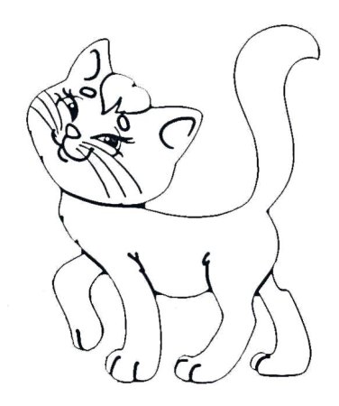 Контур кошки