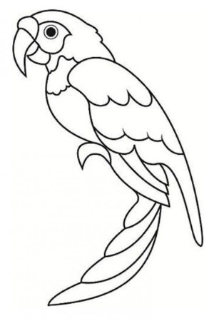 Трафарет попугай для вырезания