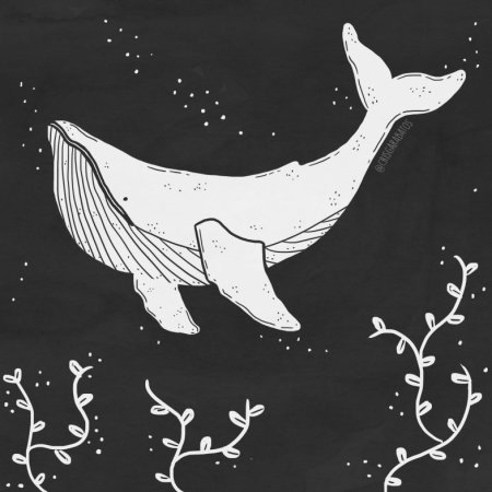Рисунки для срисовки кит