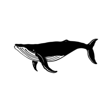 Картинки трафареты кита (42 фото)