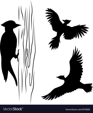 Лесные птицы силуэт