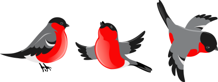 Снегирь трафарет