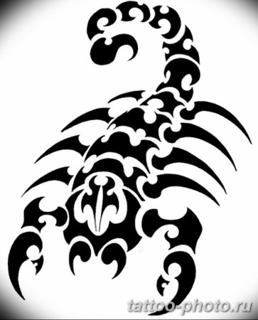 Скорпион рисунок