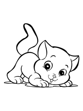 Котенок раскраска для детей