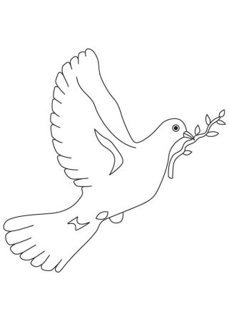 Голубь мира раскраска