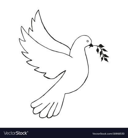Голубь рисунок шаблон
