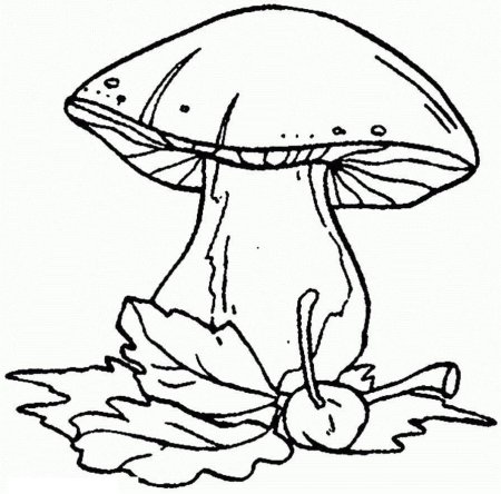 Гриб раскраска