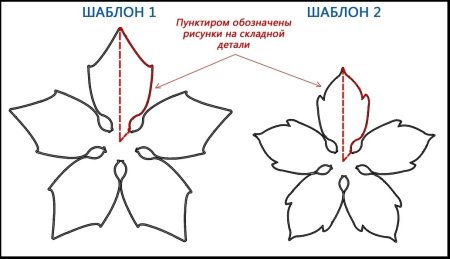 Пуансеттия схема цветка