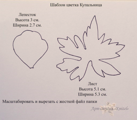 Трафареты листьев падуба