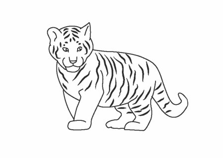 Тигр. Раскраска