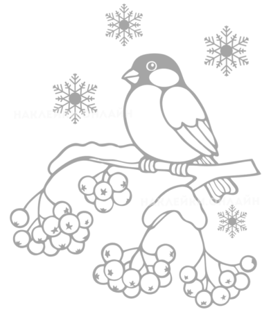 Снегирь на ветке трафарет