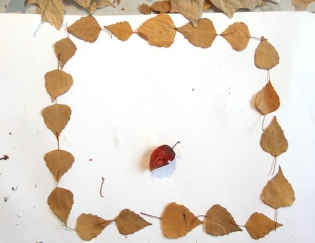 Орнамент из засушенных листьев (49 фото)