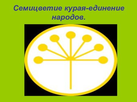 Курай растение Башкирский символ