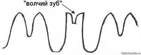 Усатый перстень домонгол