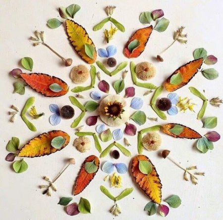 Мандала из цветов и листьев