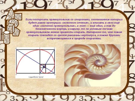 Числа Фибоначчи золотой прямоугольник