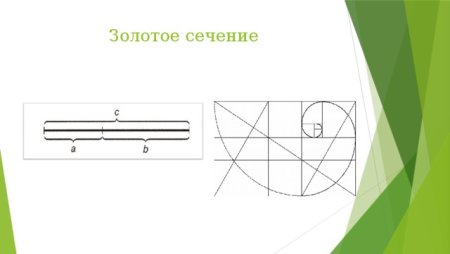 Система золотого сечения
