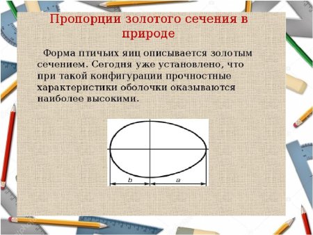 Золотое сечение пропорция